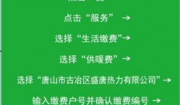 大唐热力最新爆料,揭秘行业变革背后的秘密