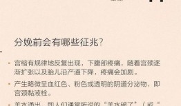 最新散兵爆料图片高清视频,高清图片与视频揭秘神秘角色与技能
